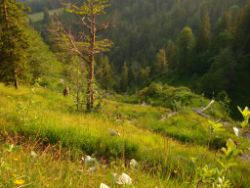 2013-07-20_Regina-F-Rau_Kochel-Rabenkopf (468).JPG